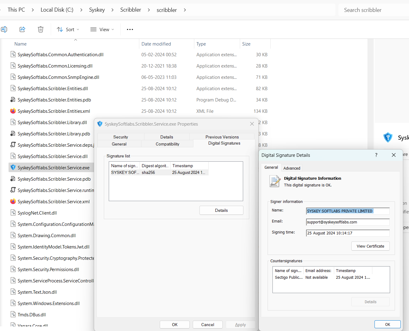 Application Binary - Digital Signature Verification